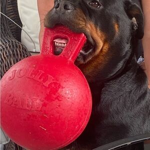 10$ UNLISTED ITEMS LISTING